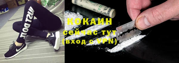 ПСИЛОЦИБИНОВЫЕ ГРИБЫ Переславль-Залесский
