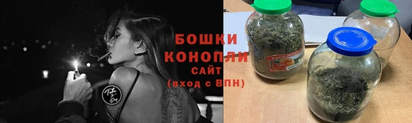 молекула духа Покровск