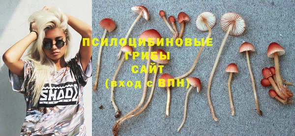 ПСИЛОЦИБИНОВЫЕ ГРИБЫ Переславль-Залесский