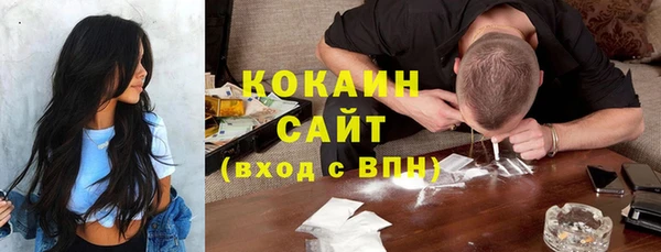 ПСИЛОЦИБИНОВЫЕ ГРИБЫ Переславль-Залесский