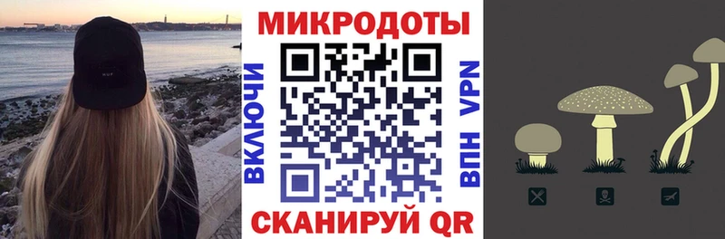 Псилоцибиновые грибы Psilocybine cubensis  Закаменск 